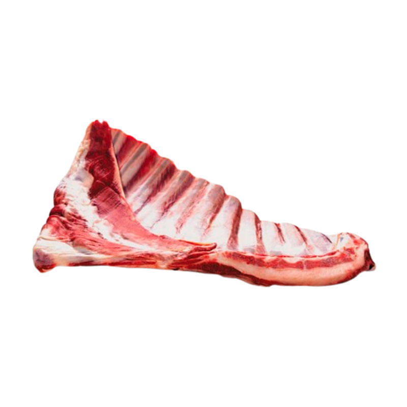 Forminha Regina Número 4 Azul