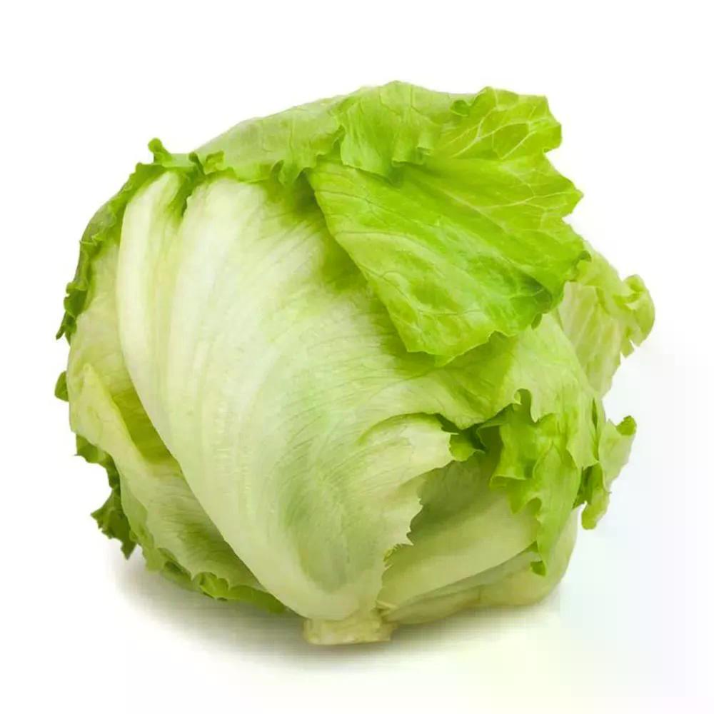 ALFACE AMERICANA BELA HORTA