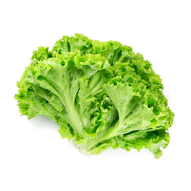 Alface Crespa Bela Horta 1un