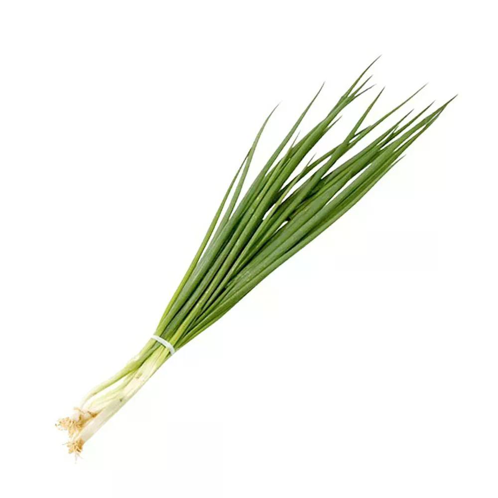 Cebolinha Bela Horta 1un