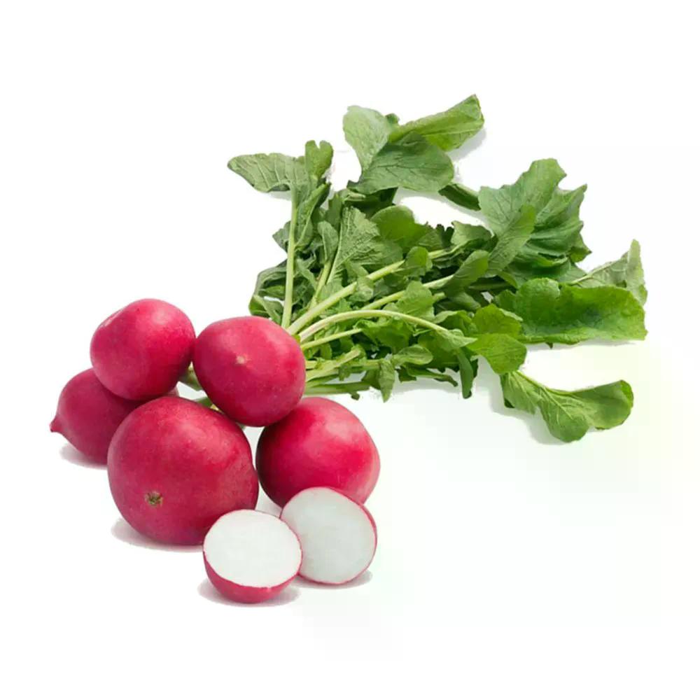 Rabanete Bela Horta 1un