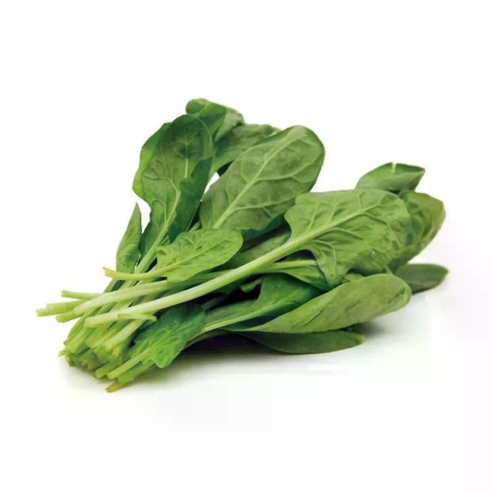 Rucula Bela Horta 1un