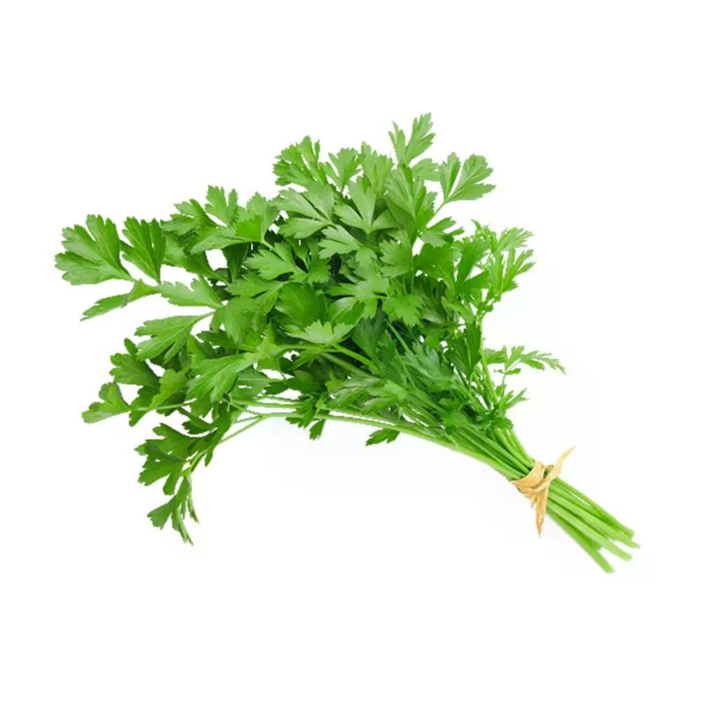 Salsa Bela Horta 1un