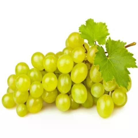 Uva Italia Kg