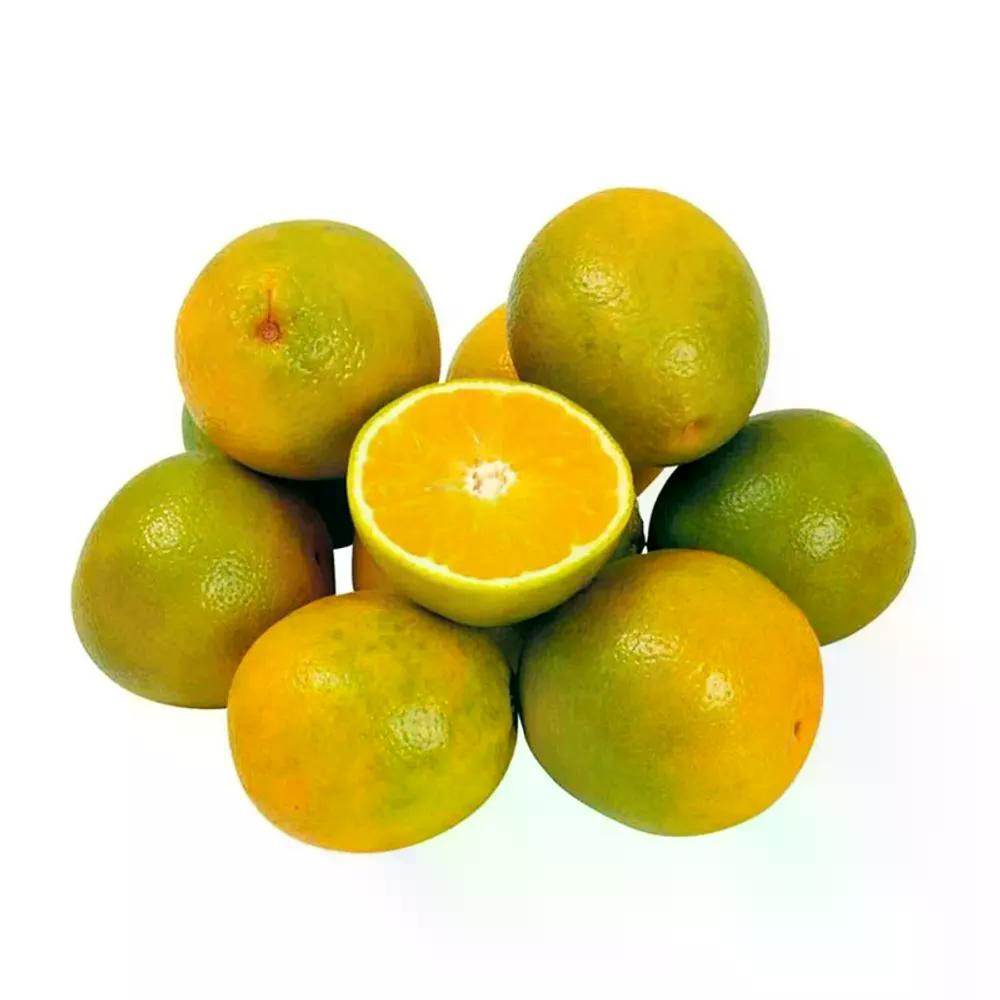 Laranja Pera - Aprox. 500g