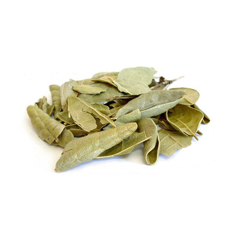 TNT Estampado Supper 1139 A Wow 1,40m