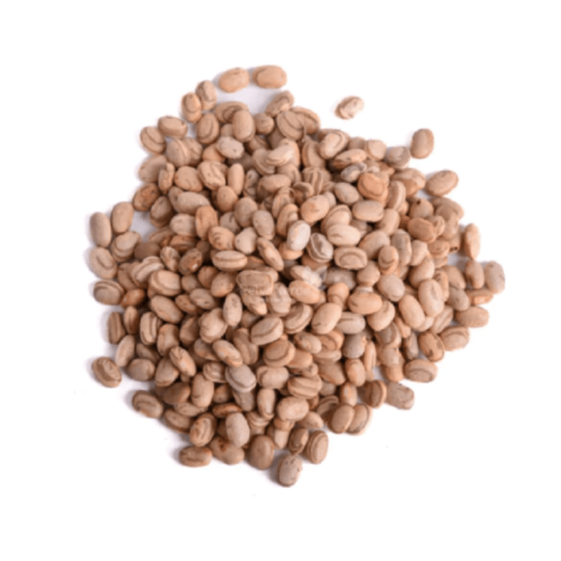 Caixeta UltraFest 35mm Xadrez Azul Escuro