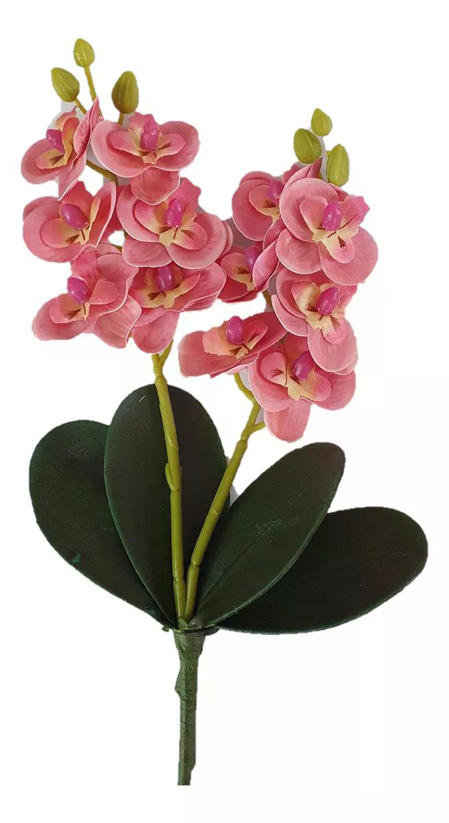 ORQ PHALAENOPSIS MINI PT 9