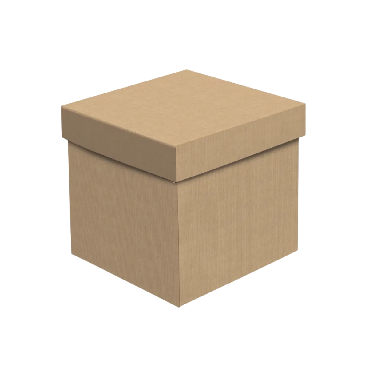 CX CUBO KRAFT G 17X17X17CM
