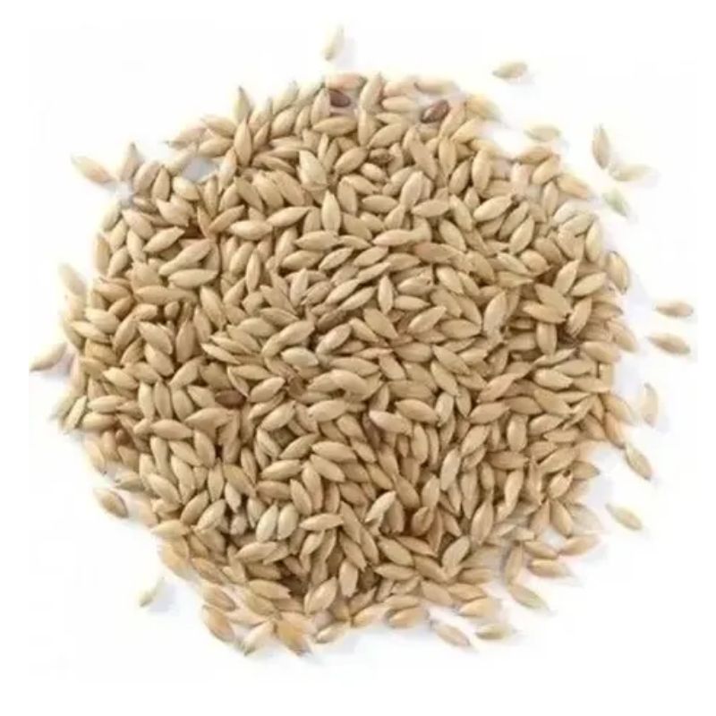 ALPISTE CANADENSE KG