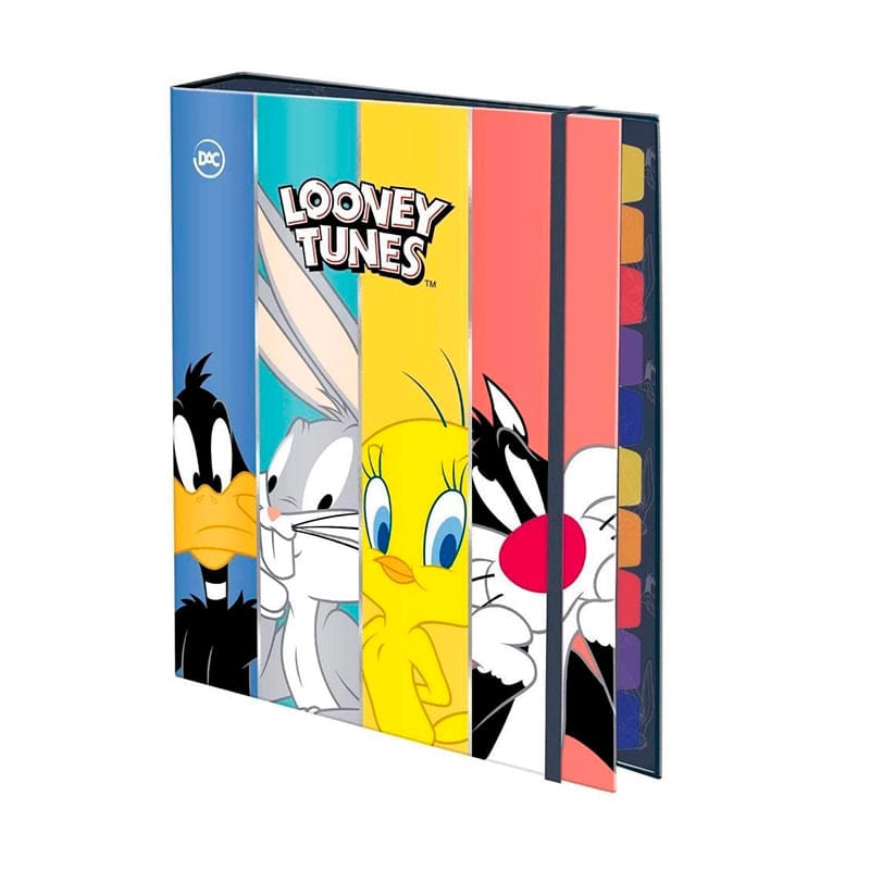 Caderno Argolado Looney Tunes Colegial 48Folhas