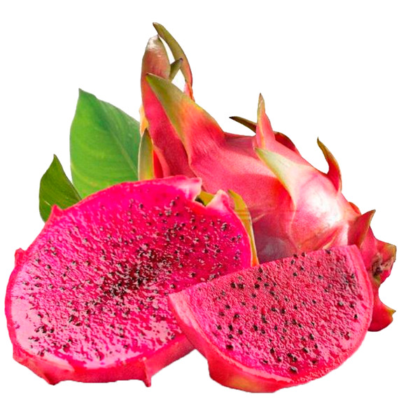 PITAYA VERMELHA PROC