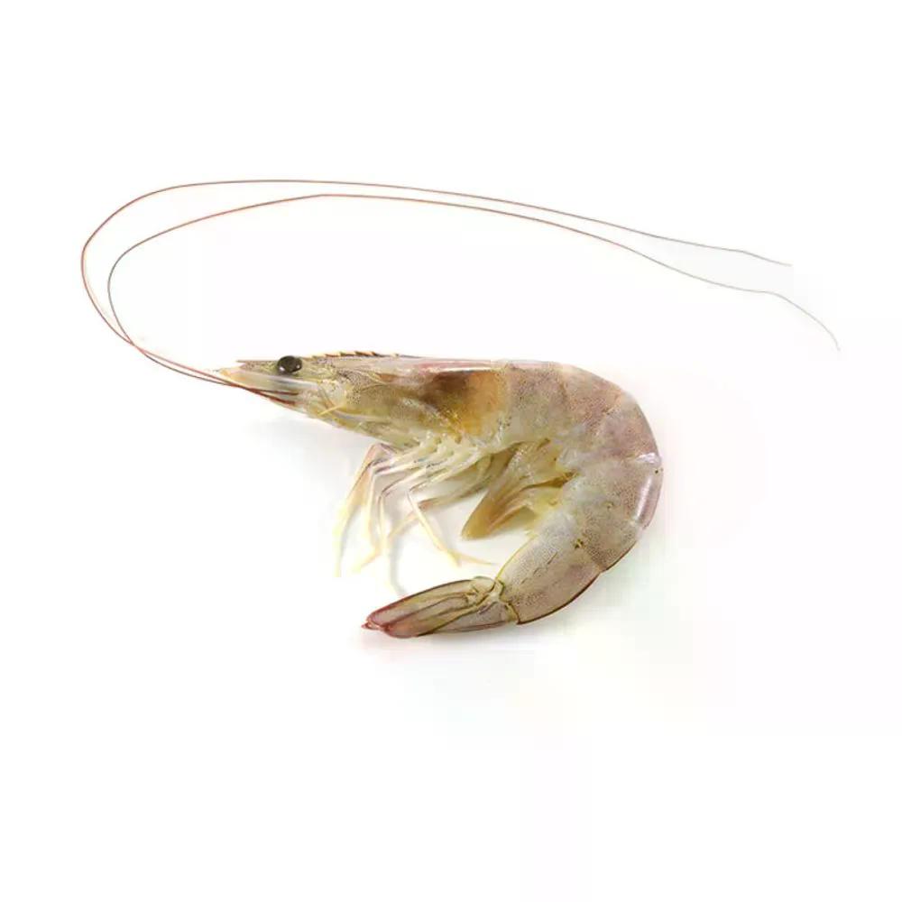 Camarão Cinza Inteiro Médio - Aprox. 500g