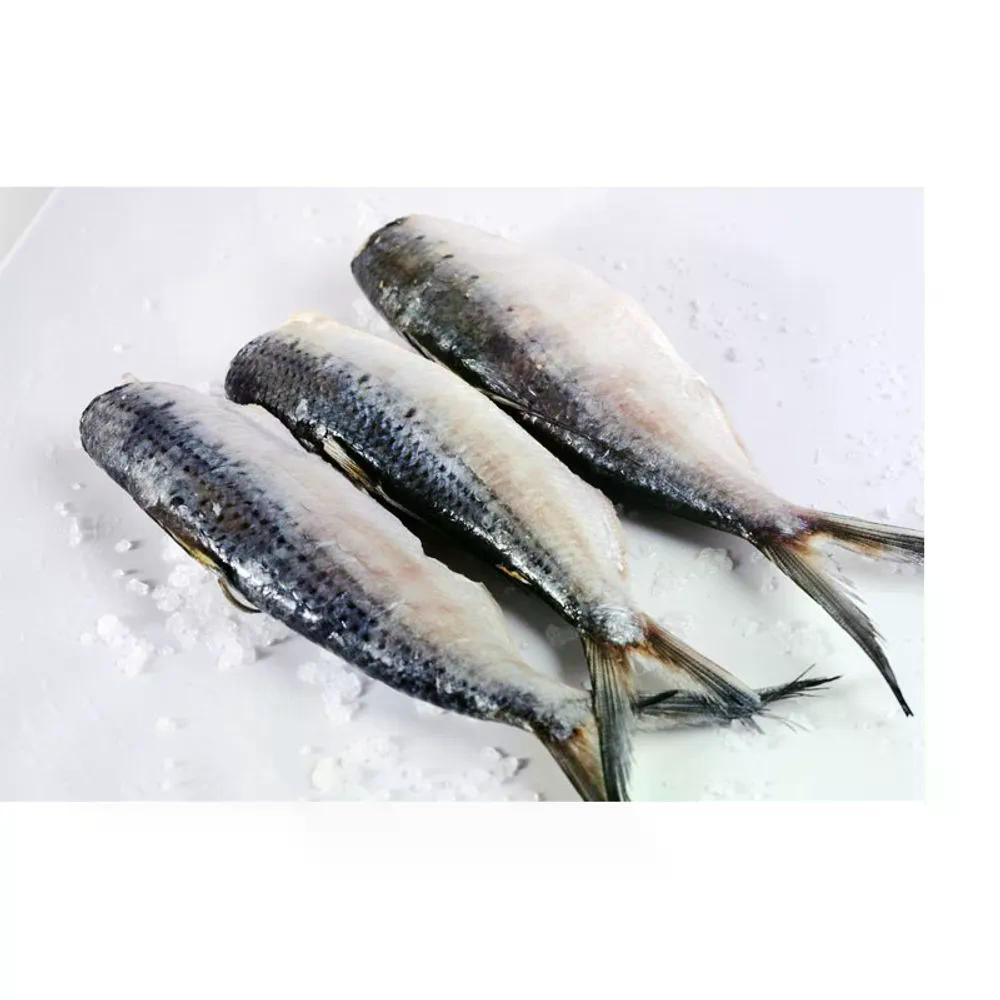 Peixe Sardinha Lagi Eviscerado - Aprox. 500g