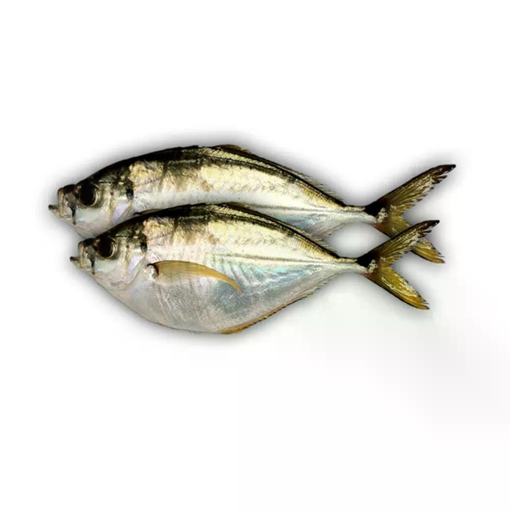Peixe Palombeta Inteira - Aprox. 500g