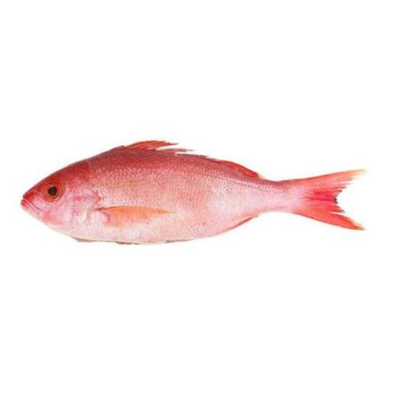 Peixe Cioba - Aprox. 1kg