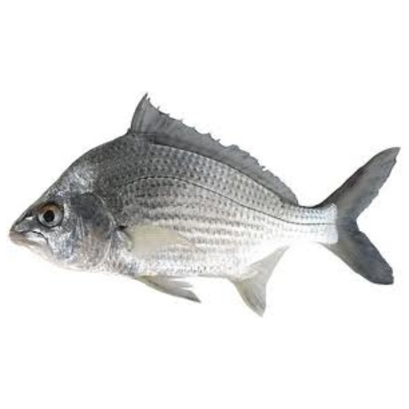 CARAPEBA KG