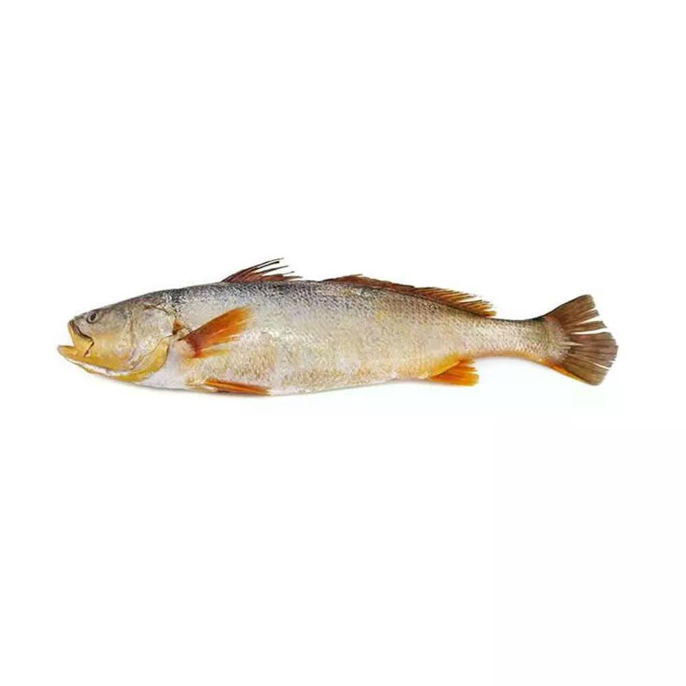 Pescada Salgada - Aprox. 1kg