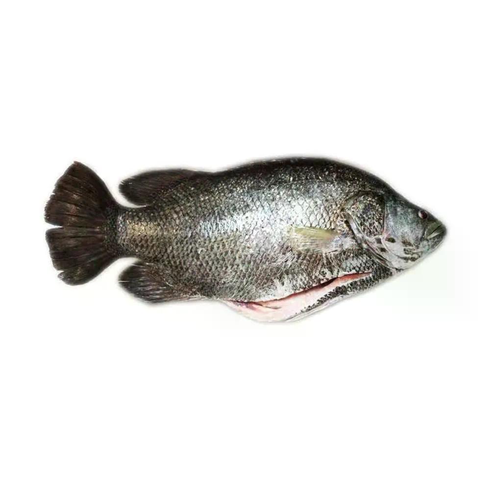 Peixe Piau/Gereba - Aprox. 1kg