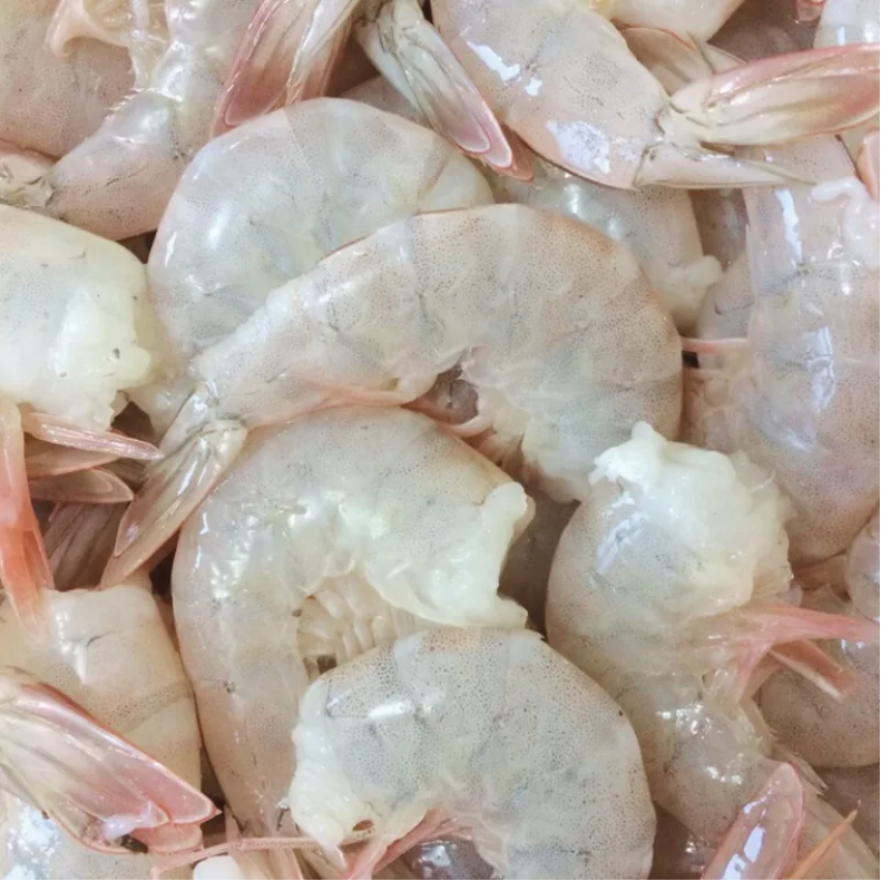 Camarão Branco - Aprax. 500g
