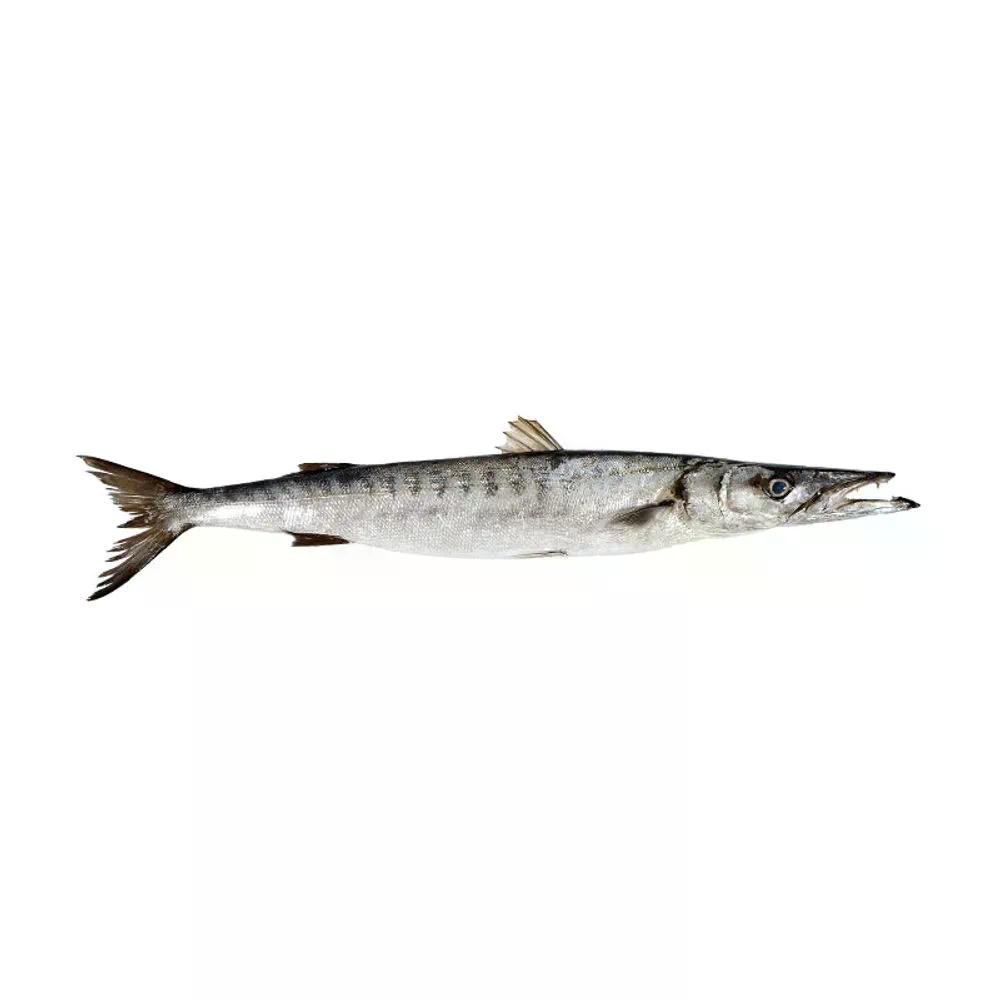 Pescada Bicuda - Aprox. 1kg