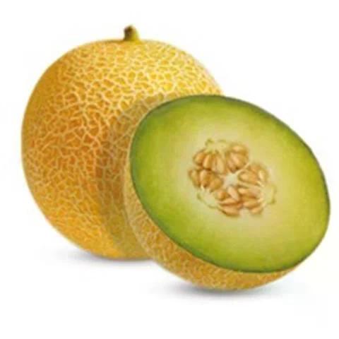 MELAO GALIA KG