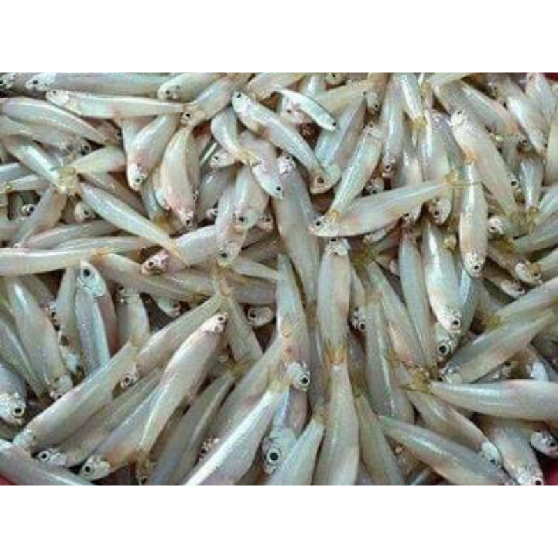 Pilombeta Salgada - Aprox. 1kg