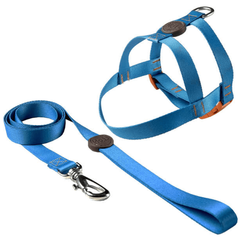 Conjunto Peitoral Tradicional e Guia n0