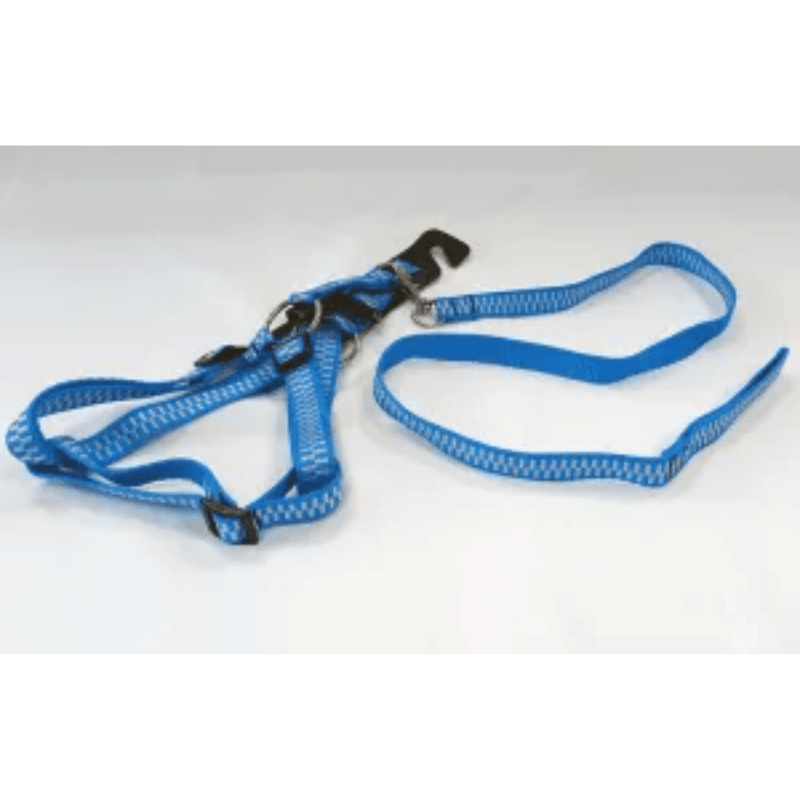  Peitoral Guia tradicional n2