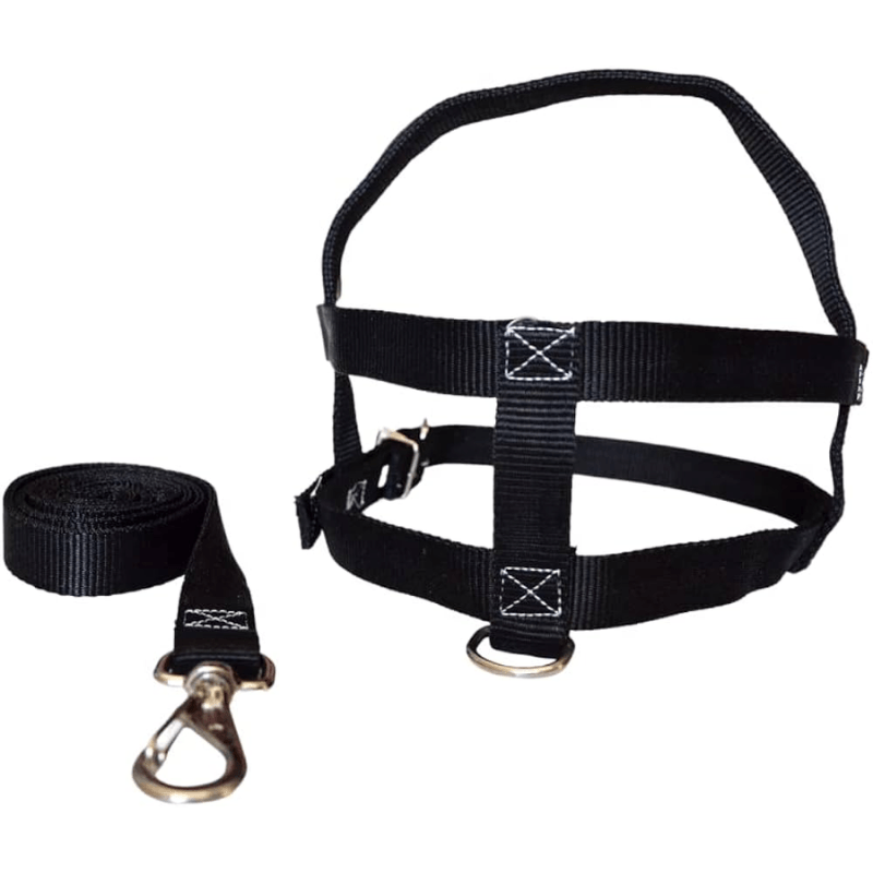 Conjunto Guia com Peitoral Tradicional n4