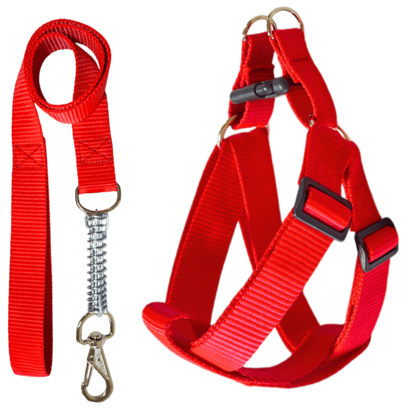 Conjunto Guia com Peitoral Porte  Médio Porte Vermelho 