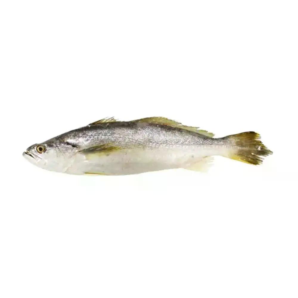 Pescada Fresca - Aprox. 1kg