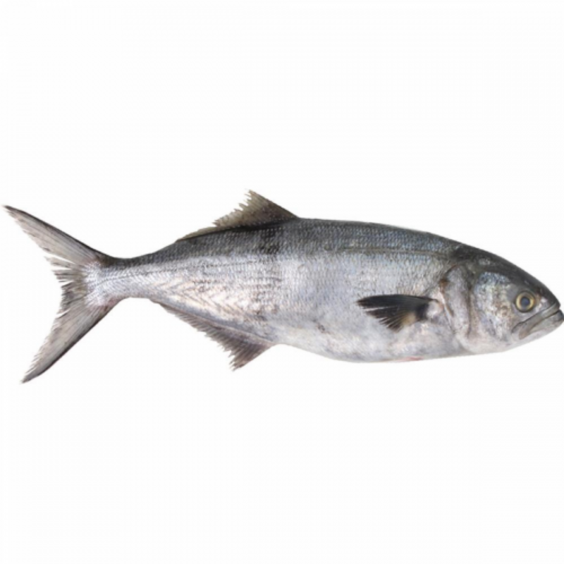 PEIXE SARDINHA INTEIRA KG