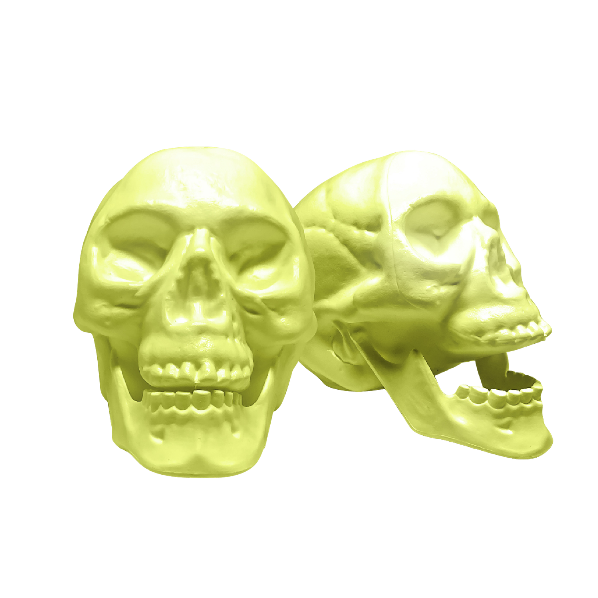 Crânio Com Mandíbula Neon Unica
