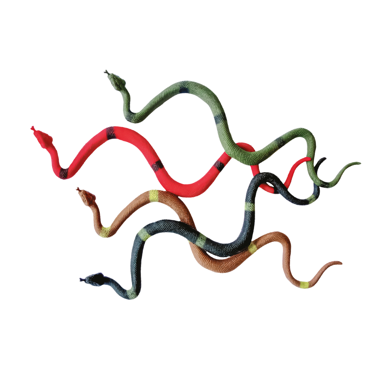 Cobra Pequena Unica 
