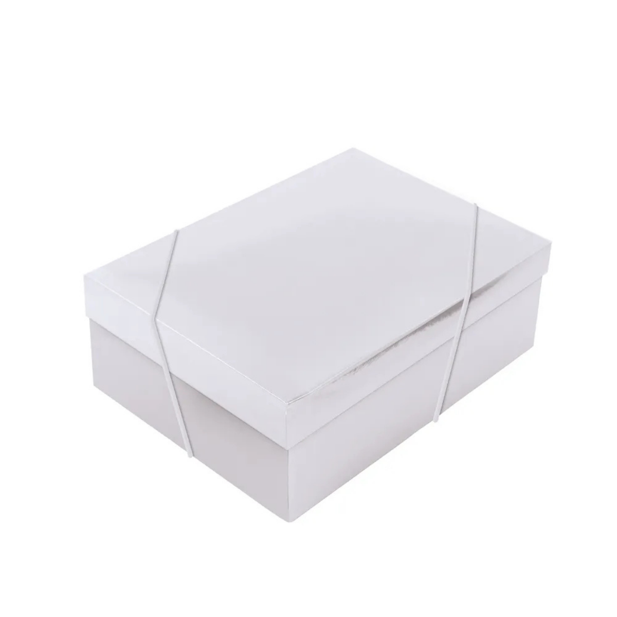 Caixa Retangular Com Tampa P Prata - 24x18x8cm