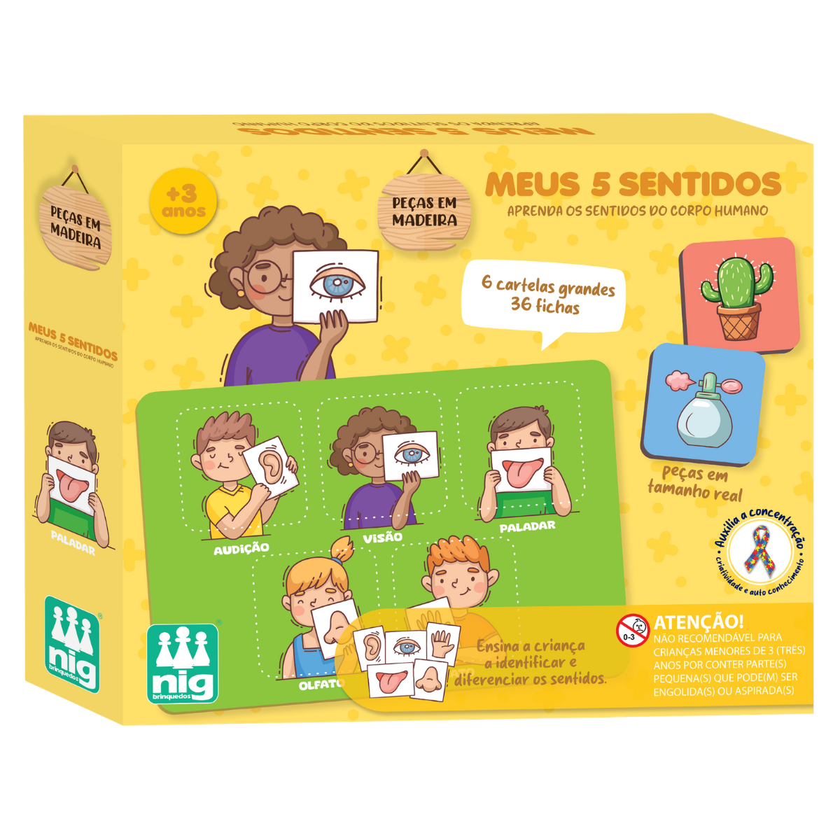 Meus 5 Sentidos - Nig Brinquedos