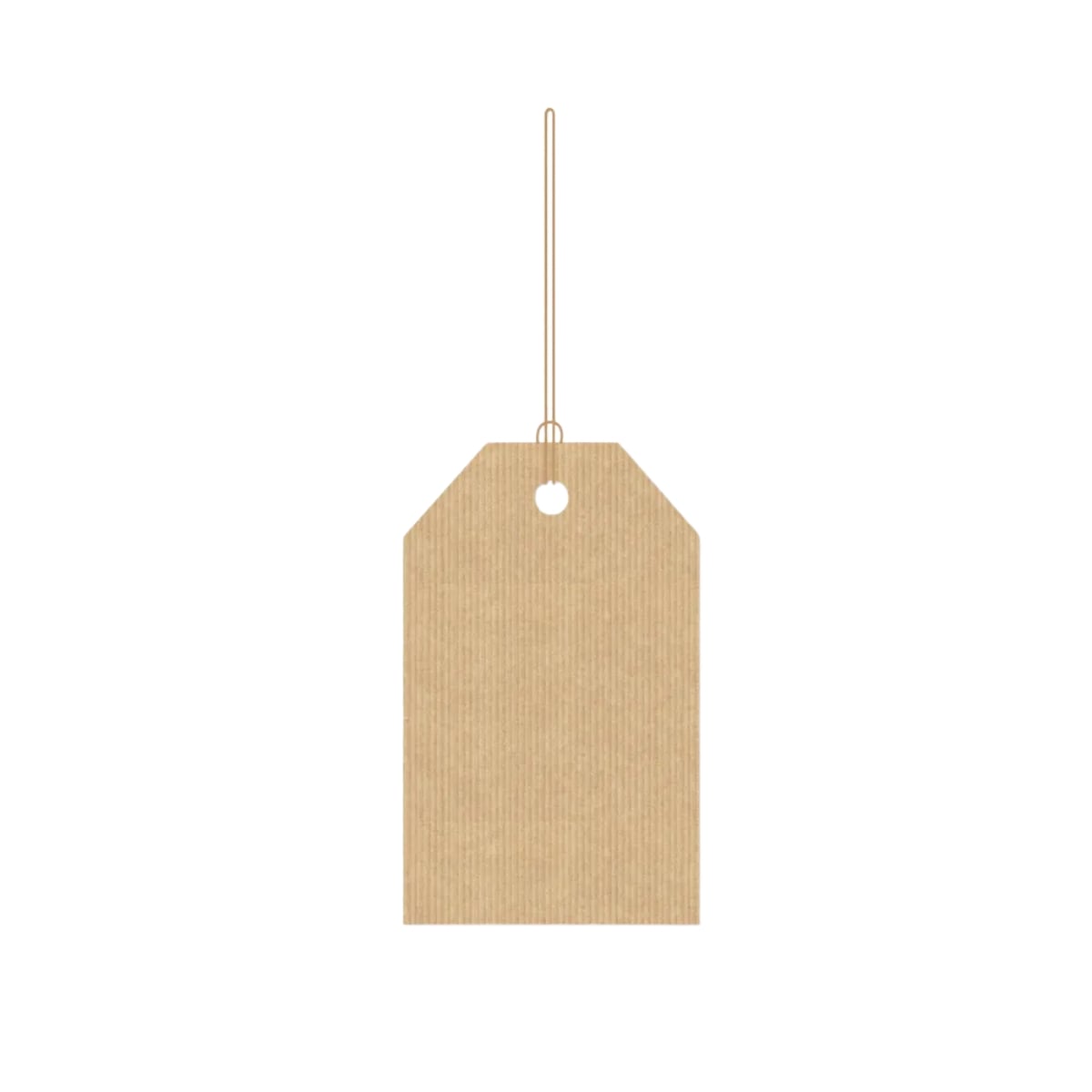 TAGS DE PARA LISO KRAFT 5X8