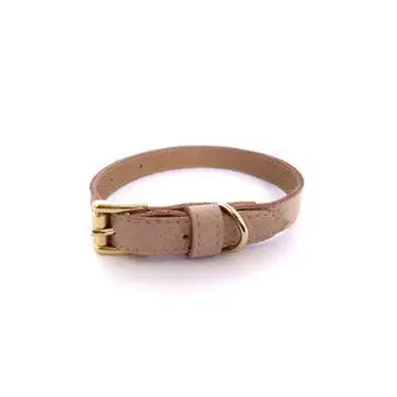 Coleira de Couro Dr. Animal nº5