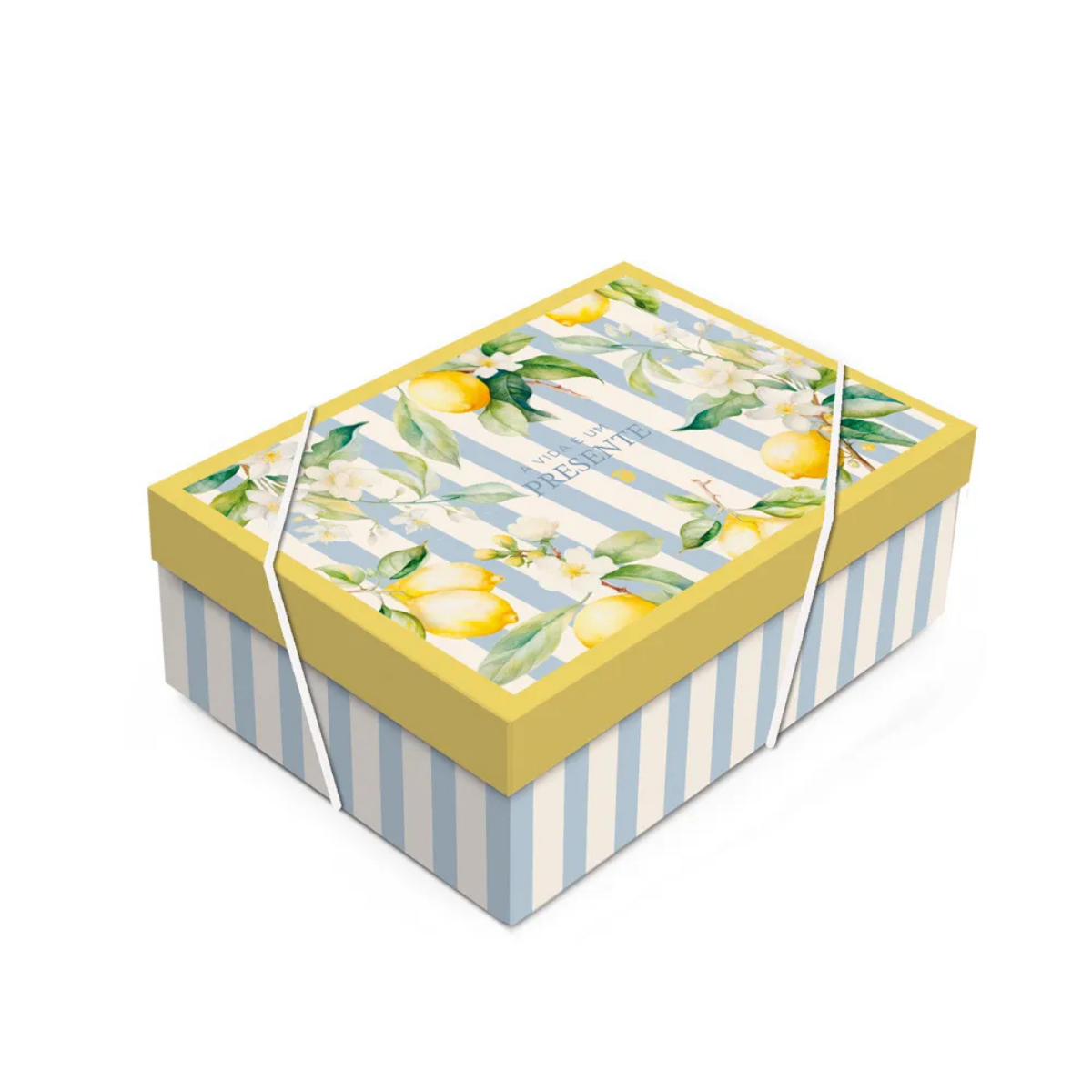 Caixa Retangular Com Tampa M Sicilia - 35x25x11cm