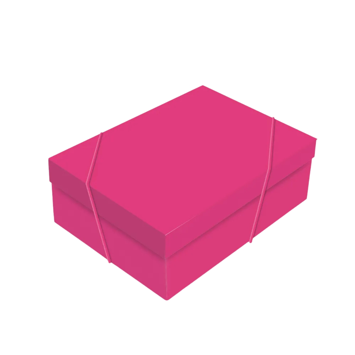 CX RET C TAMPA P PINK CORE 24X18X8