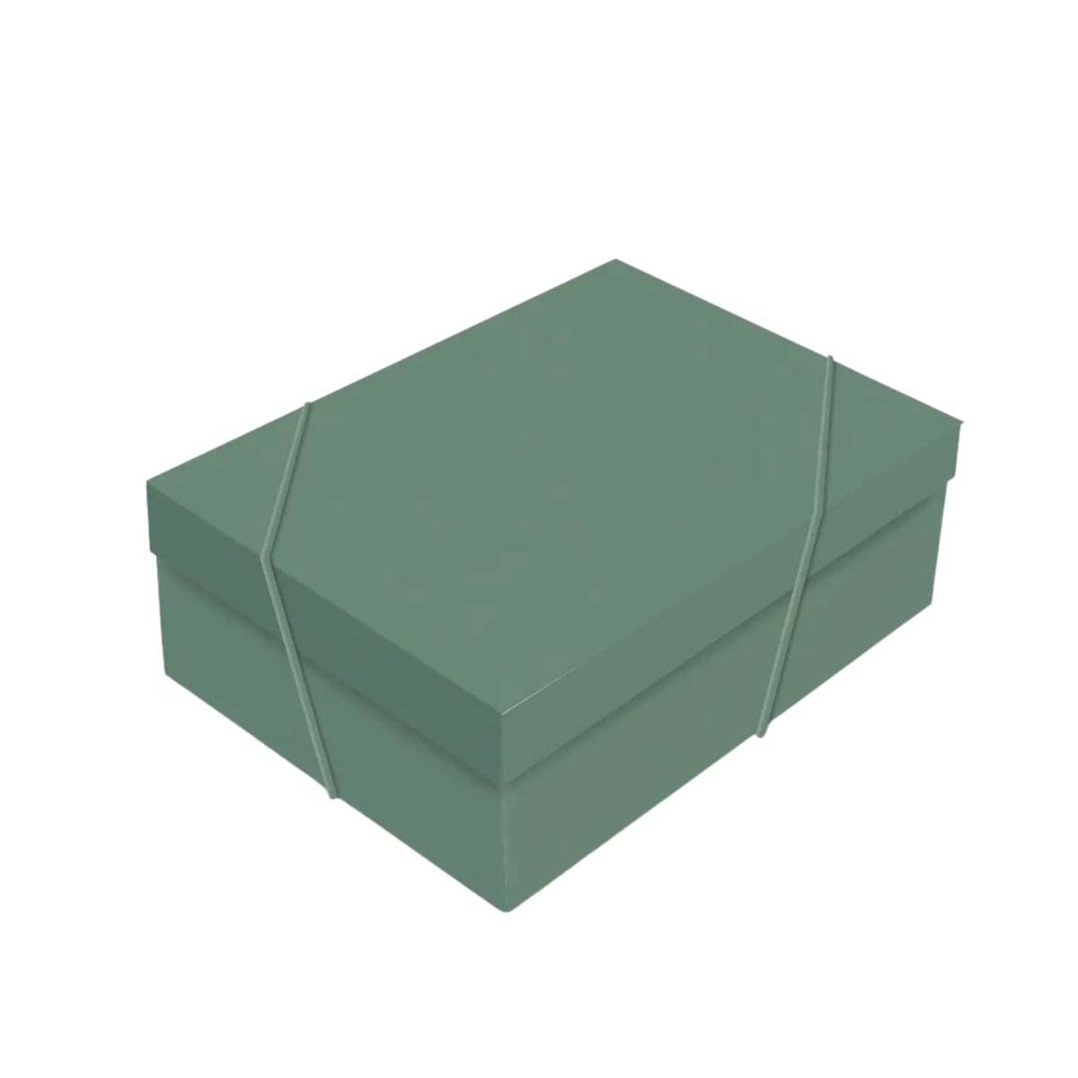 CX RET C TAMPA M NATURAL GREEN 35X25X11