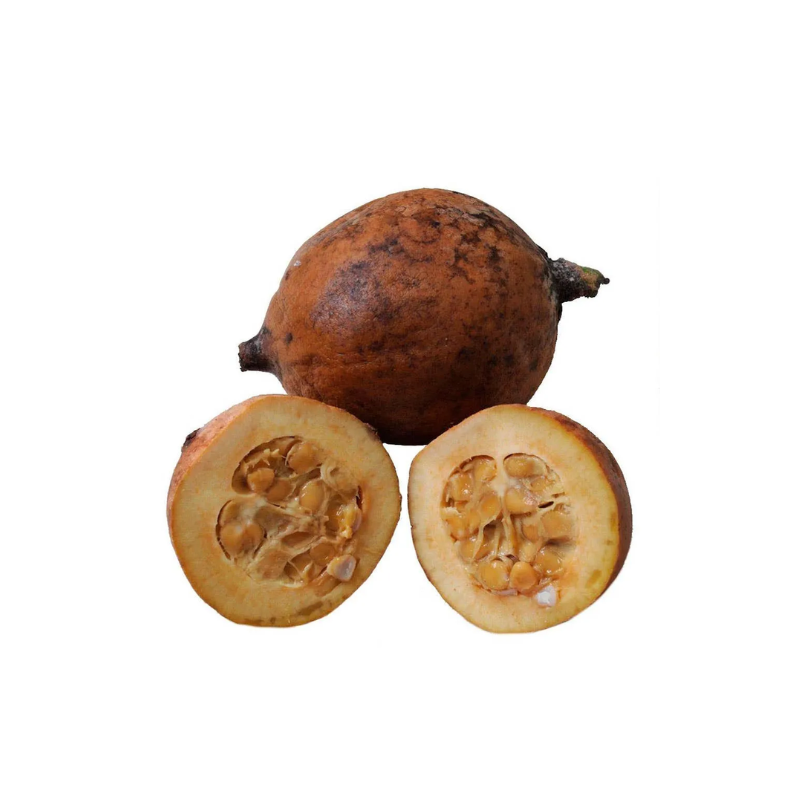 Jenipapo KG