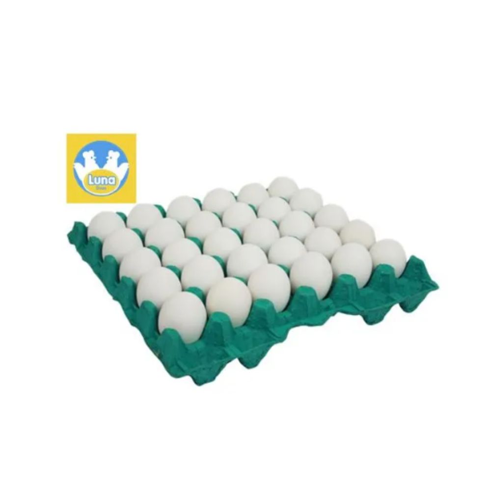 Bandeja de Ovo Luna com 30un